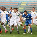 Fidelis juvestabia