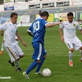 Fidelis juvestabia