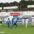 Fidelis juvestabia