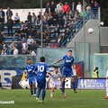 Fidelis juvestabia