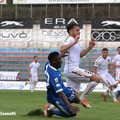 Fidelis juvestabia