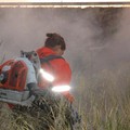Incendio Contrada Lama Paola