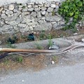 Incidente Via Corato Andria