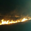 Incendio Montegrosso Andria