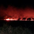 Incendio Montegrosso Andria