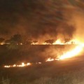 Incendio Montegrosso Andria