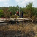 Scomparsa Vassalli, proseguono le ricerche