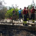 Scomparsa Vassalli, proseguono le ricerche