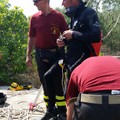 Scomparsa Vassalli, proseguono le ricerche