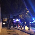 Auto contro albero a Trani, due morti