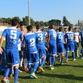 Fidelis Andria - Sarnese, tornano al successo gli azzurri