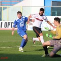 Fidelis Andria - Sarnese, tornano al successo gli azzurri