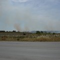 Incendio di sterpaglie in via Trani: visibilità ridotta in Tangenziale