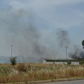 Incendio di sterpaglie in via Trani: visibilità ridotta in Tangenziale