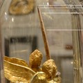 Sacra spina inizio prodigio