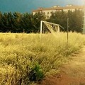 Stadio Sant'Angelo dei Ricchi, situazione drammatica