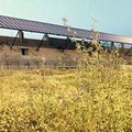 Stadio Sant'Angelo dei Ricchi, situazione drammatica