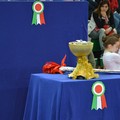 Finali regionali di Scacchi, 71 team sabato scorso al Palasport