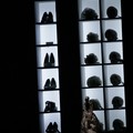 Le mille ed una notte - Foto Imma Andriolo