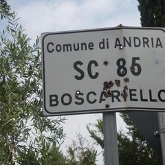 tromba daria boscariello JPG