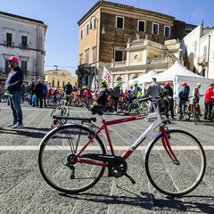 Una domenica di corsa con il Gruppo Sportivo Ciclo Avis di Andria