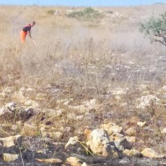 Vasto incendio a Monte Caccia, intervento del Nucleo Volontariato Città di Andria