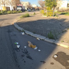 Zona PIP invasa dai rifiuti delle attività della ristorazione