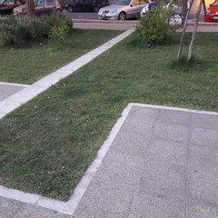 Pulizia di piazza SS. Trinità: nuova missione compiuta