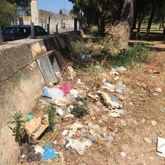 Ripulita la pineta della villa comunale: ma fino a quando sarà rispettata?