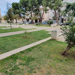 pulizia di piazza SS. Trinità