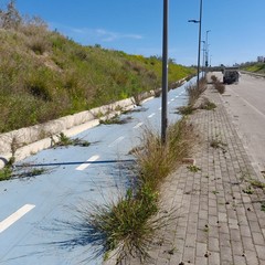 via Bisceglie-stazione di Andria Sud