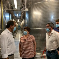 Gli olivicoltori incontrano il Ministro Teresa Bellanova