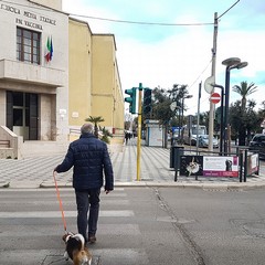 Rischio per i pedoni ai semafori cittadini