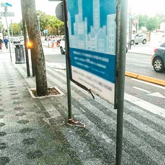 Il degrado che può far male