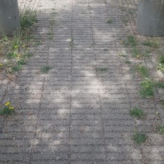 Sanificato il parco urbano dedicato a Graziella Mansi
