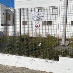 Anonimo cittadino ripulisce il ponticello di via Bisceglie
