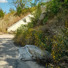 Degrado in Via Monte Faraone e via Vecchia Spinazzola