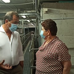 Gli olivicoltori incontrano il Ministro Teresa Bellanova