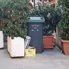 Porta a porta ad Andria differenziata e  differente
