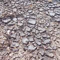 Volontari Federiciani, rinvenute scocche d'auto e materiali pericolosi