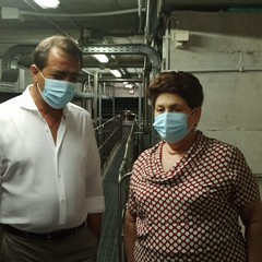 Gli olivicoltori incontrano il Ministro Teresa Bellanova