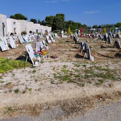 Campo 7 del Cimitero Comunale di Andria