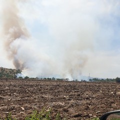Vasto incendio nella zona di Torre San Pietro, nei pressi di Montegrosso