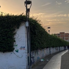 Giro di vite sull'abbandono dei rifiuti