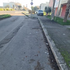Zona PIP invasa dai rifiuti delle attività della ristorazione