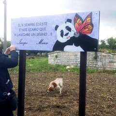 Giornata  della biodiversità