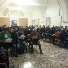 corso per la raccolta funghi