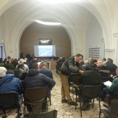 corso per la raccolta funghi