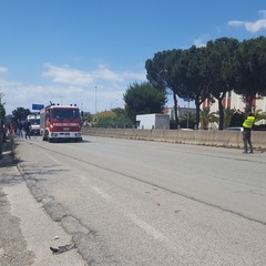 incidente stradale sp 231