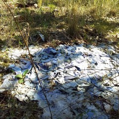 rifiuti di ogni tipo dentro il boschetto di Sant'Agostino